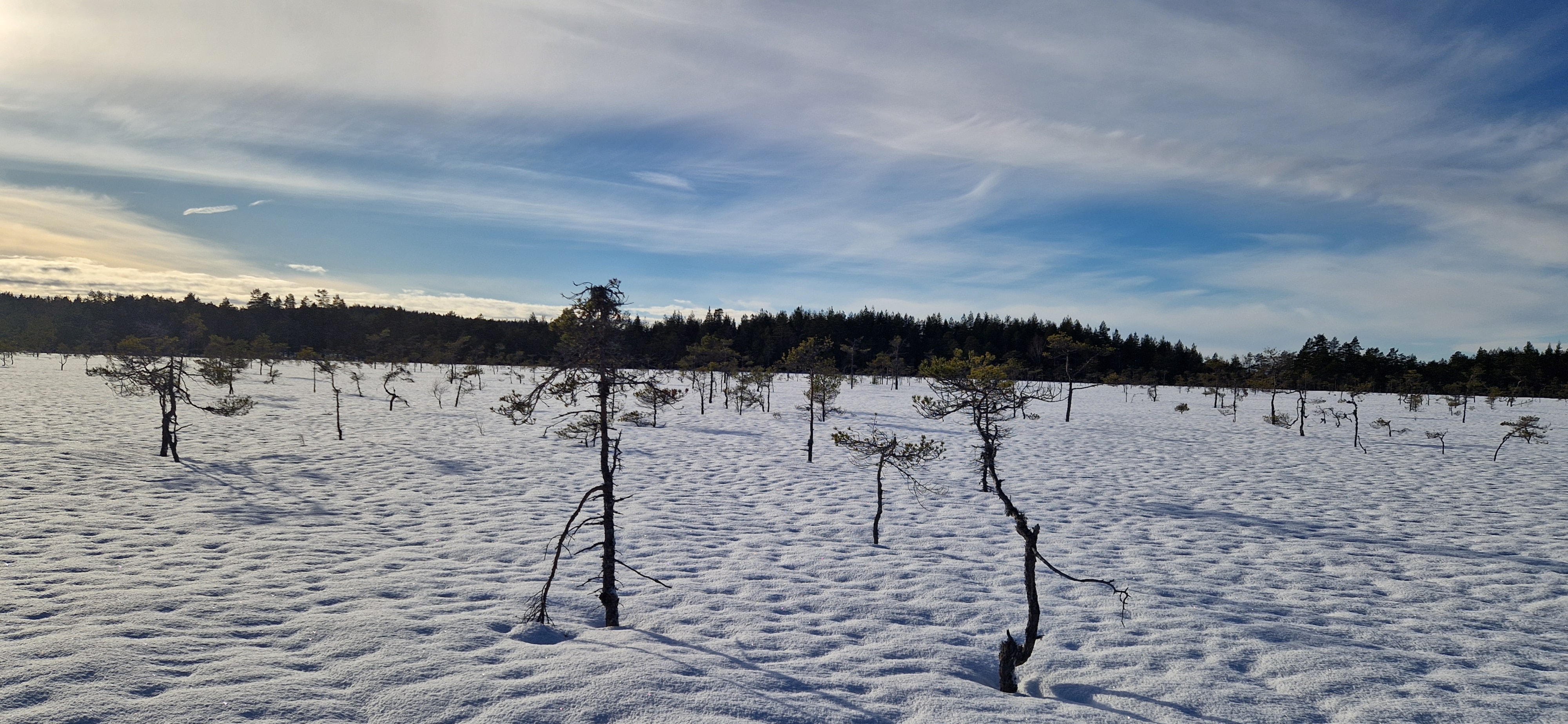 God Jul og Godt Nytt År!